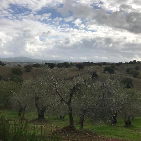 Podere Pini Magliano in Toscana Zewnętrze zdjęcie