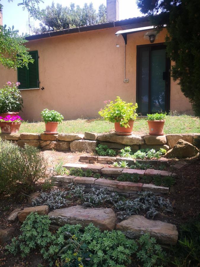 Podere Pini Magliano in Toscana Zewnętrze zdjęcie