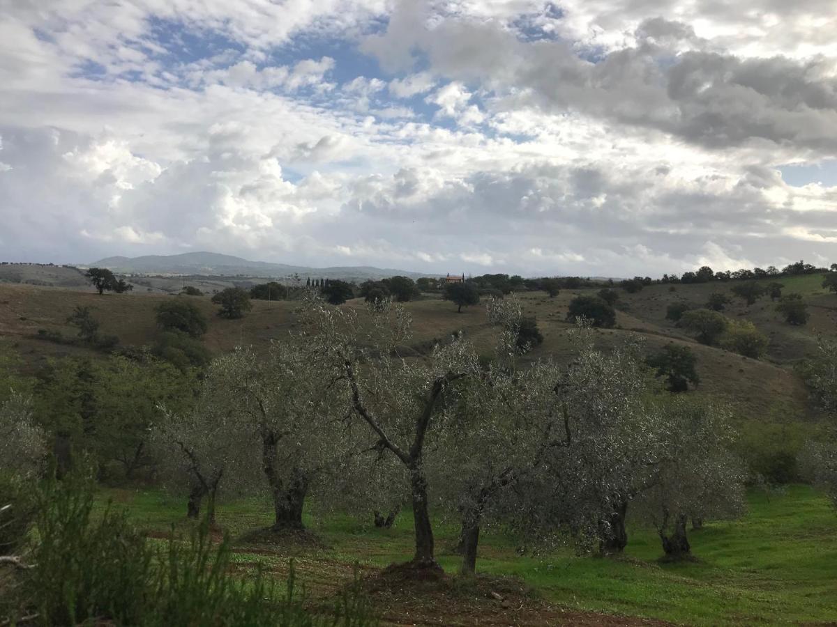Podere Pini Magliano in Toscana Zewnętrze zdjęcie